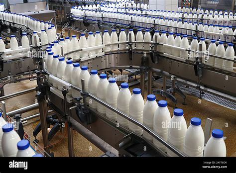 milk factory f95